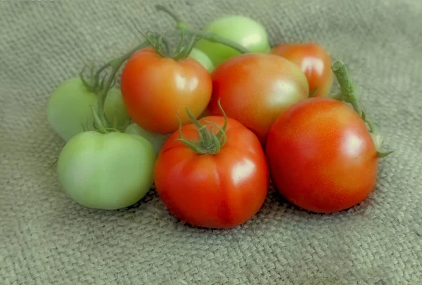 Deliciosos Tomates Maduros Verdes Com Caule Apresentado Fundo Tecido Linho — Fotografia de Stock