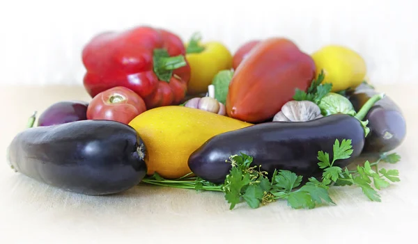 Group Different Vegetables Cucumbers Eggplants Tomatoes Pumpkins Squash Parsley Presented — Stock Photo, Image