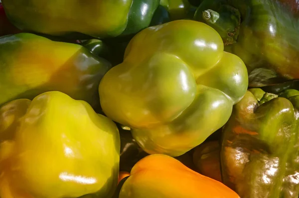 Büyük Meyve Olgun Sarı Biber Closeup Sunar — Stok fotoğraf
