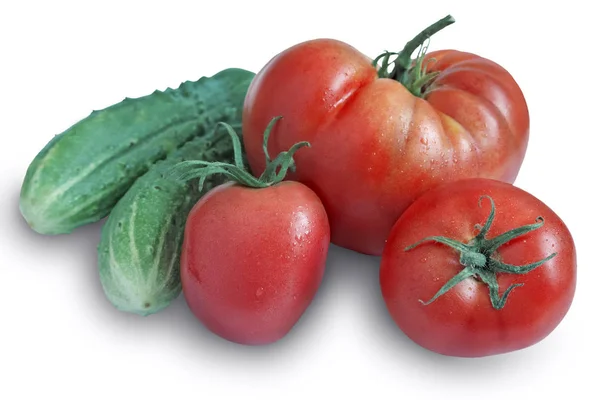 Üç olgun domates ve salatalık beyaz arka plan üzerinde — Stok fotoğraf
