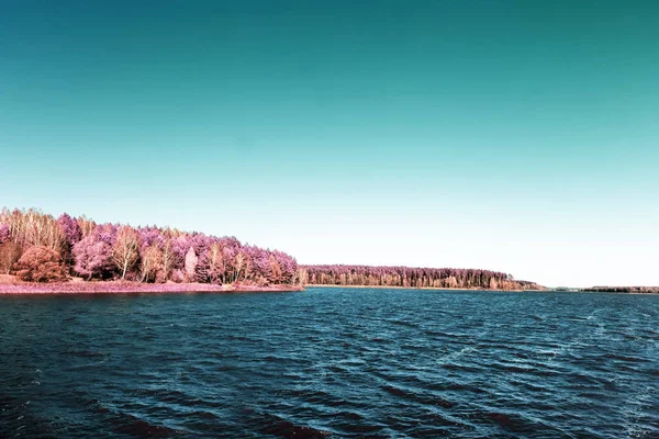 The autumn wood on the bank of the big beautiful lake — Stock Photo, Image