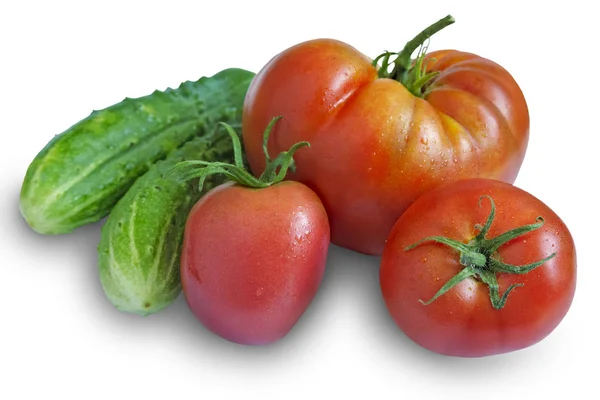 Three ripe tomatoes and cucumbers on white background — Stock Photo, Image