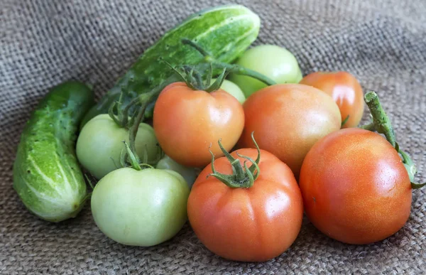 Pepinos, tomates maduros e verdes em um tecido de linho — Fotografia de Stock