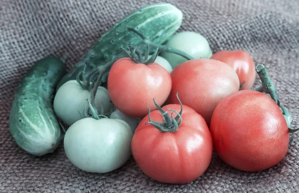 Pepinos, tomates maduros e verdes em um tecido de linho — Fotografia de Stock