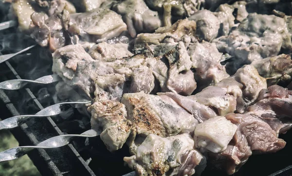 Кебаб на шампуре на гриле — стоковое фото