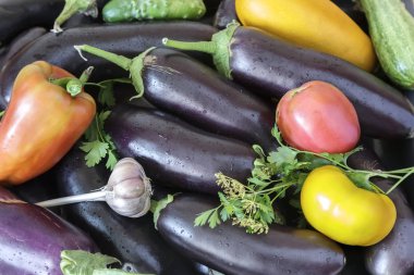 Olgun patlıcan ve diğer sebze yakın çekim.