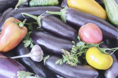 Olgun patlıcan ve diğer sebze yakın çekim.