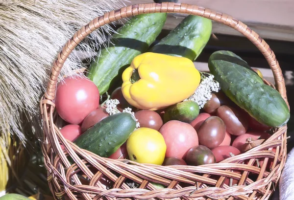 Panier en osier avec légumes . — Photo