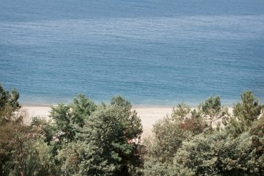 Güzel manzara: mavi deniz, plaj, kıyı ile çam ağaçları büyüyor. Üstten Görünüm.
