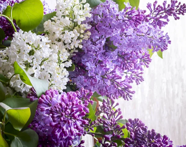 Belles Fleurs Lilas Parmi Les Feuilles Vertes Présenté Gros Plan — Photo