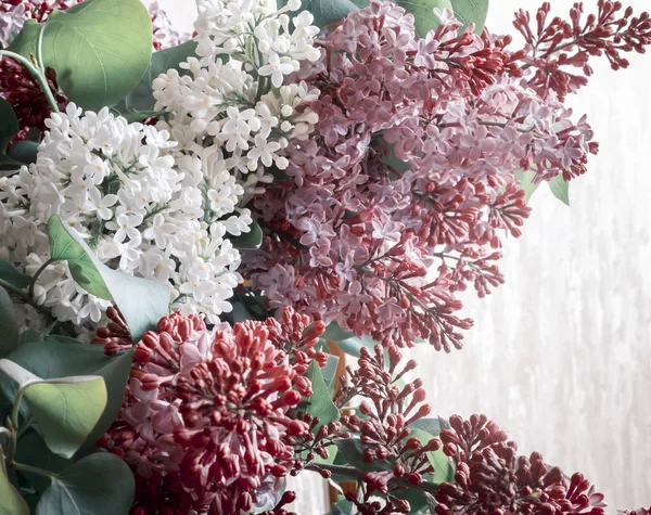 Krásná Lila Květy Mezi Zelenými Listy Uvedeny Detail — Stock fotografie
