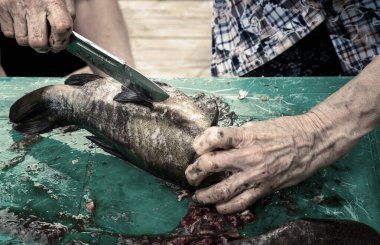 Yaşlı bir kadın nehirde yakalanan balıkları temizliyor..