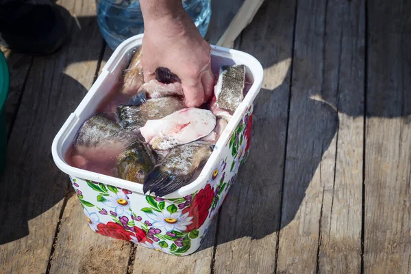 容器に精製水を新鮮な魚. — ストック写真
