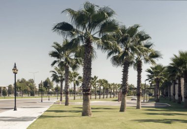 Şehir manzarası: Güney tatil köyünde bir cadde.