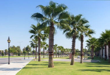 Şehir manzarası: Güney tatil köyünde bir cadde.