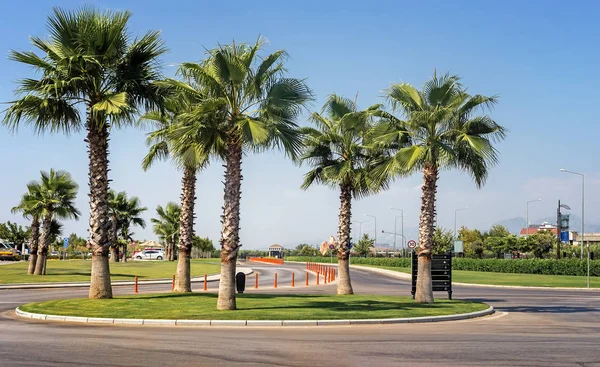 Şehir manzarası: Güney tatil köyünde bir cadde.