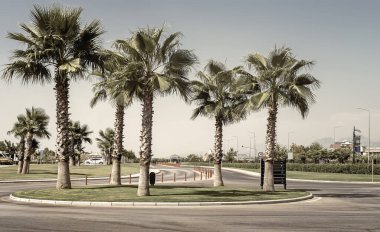 Yol boyunca uzanan güzel palmiye ağaçları olan bir Akdeniz tatil köyünde bir cadde..
