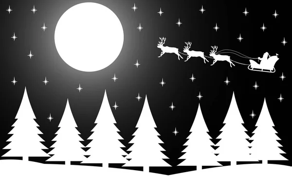 Nuit de Noël dans la forêt d'hiver . — Image vectorielle