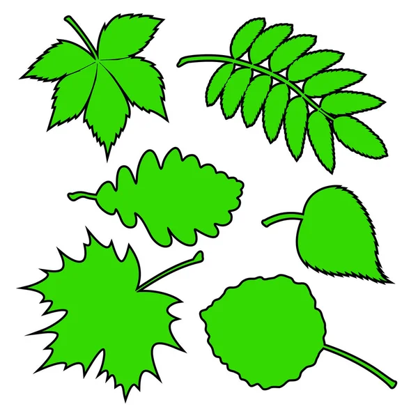 녹색 잎 세트. — 스톡 벡터