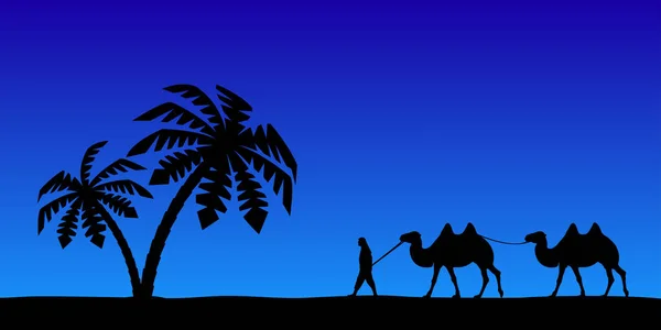 Homme aux chameaux dans le ciel nocturne. — Image vectorielle