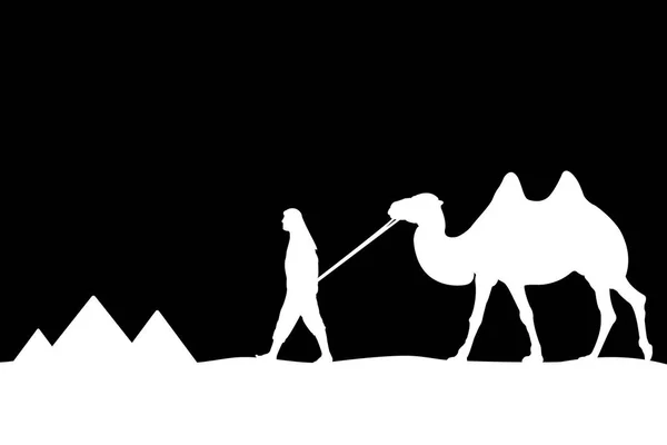 Homem com camelo das pirâmides . —  Vetores de Stock