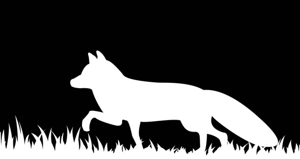 一只狐狸在草丛中的剪影. — 图库矢量图片