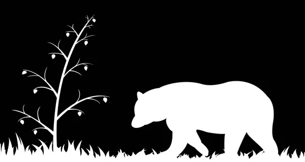 Sylwetka niedźwiedzia w trawie. — Wektor stockowy