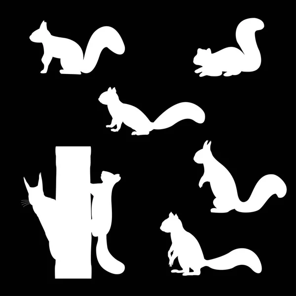 Set of silhouettes of squirrels. — Stock Vector