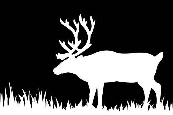 鹿在草丛中的剪影. — 图库矢量图片