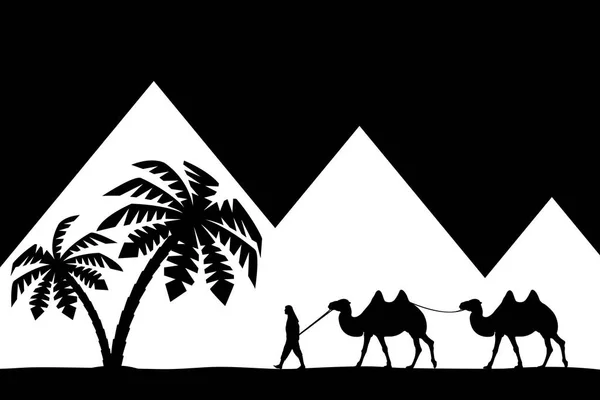 Man op de kameel de piramides. — Stockvector