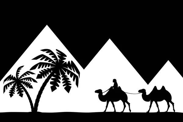 El hombre en el camello las pirámides . — Archivo Imágenes Vectoriales