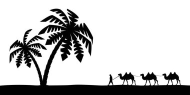 Palmiye ağaçlarında devenin üstünde bir adam.