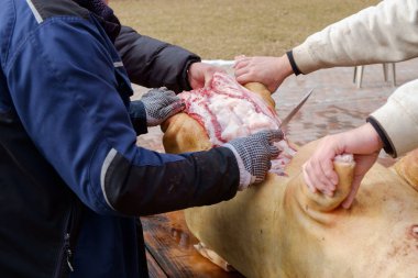  geleneksel ev yapımı domuz slauhtering