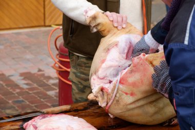  geleneksel ev yapımı domuz slauhtering
