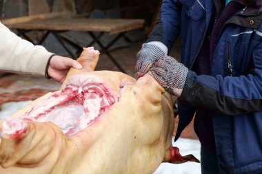  geleneksel ev yapımı domuz slauhtering