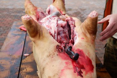  geleneksel ev yapımı domuz slauhtering