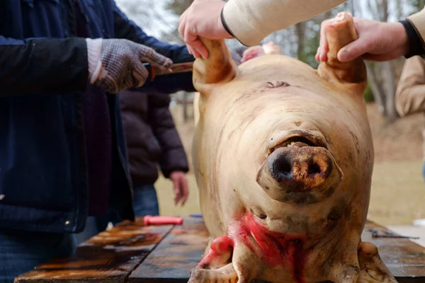  geleneksel ev yapımı domuz slauhtering