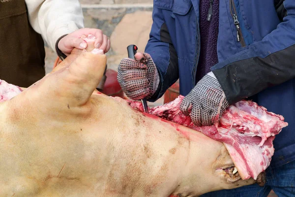Geleneksel ev yapımı domuz slauhtering — Stok fotoğraf
