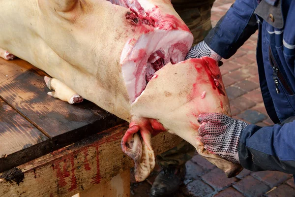 Geleneksel ev yapımı domuz slauhtering — Stok fotoğraf