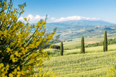 Tuscany panoramik manzara