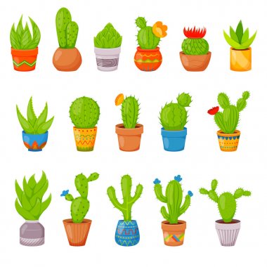 16 kaktüsler ve succulents saksı içinde kümesi. Ev kaktüs bitkileri karıncalanma ve çiçeklerle. Çeşitli succulents egzotik tropik koleksiyonu