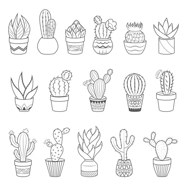 Sada 16 kaktusy a sukulenty v květináči. Domů kaktus rostliny s trny a květy. Exotické tropické kolekce různých sukulentů — Stockový vektor