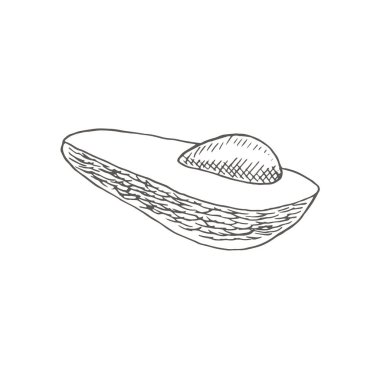 Kemikli yarım avokado. İşleme tarzında botanik çizimler elle çizilmiş çiçek ve bitki koleksiyonu. Tropik bitki.