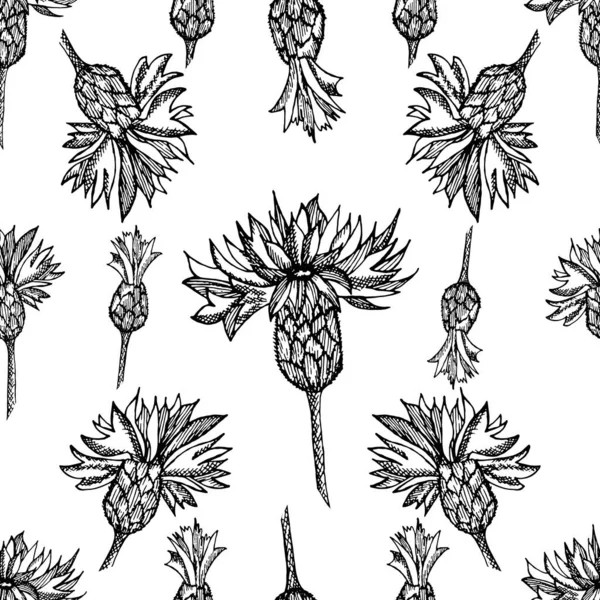 Μοτίβο Καλαμποκιού Χωρίς Ραφή Συλλογή Από Χειροποίητα Λουλούδια Και Φυτά — Διανυσματικό Αρχείο