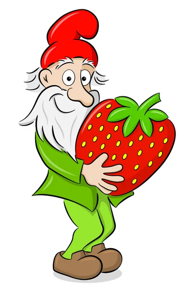 Cartoon garden gnome carrying a strawberry — Stock Vector