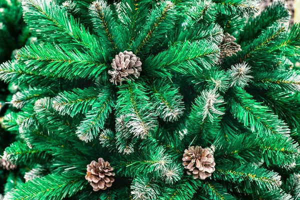 在冬季的森林里，绿色的云杉枝干上覆盖着雪地的松果，作为圣诞树特写的一部分，背景上有问候语和带有复制空间的卡片. — 图库照片