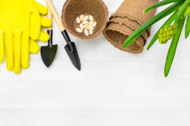 Bahçe aletlerinin üst görüntüsü, balkabağı tohumları, turba tohumları ve beyaz ahşap bir masanın tepesine yerleştirilmiş sarı koruyucu eldivenler. Bahar zamanı bahçıvanlık dairesi. Kopyalama alanı olan arkaplan.