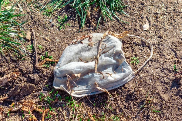 A dirty used facial medical mask for breathing lies on the ground and grass. Protective equipment for the outbreak Covid 2019, Corona virus. Infectious waste, unhygienic garbage.