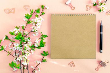 Renkli kağıdın boş bir sayfasının maketi olan düz bir kompozisyon, pastel pembe arka planda çiçekleri olan çiçek açan kiraz dallı kalem ve ofis klipleri. Üst görünüm.