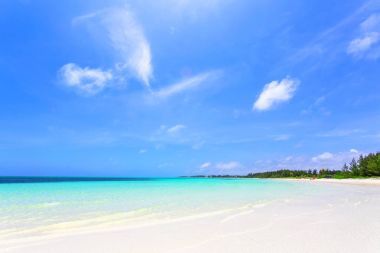 Bahamalar, Karayipler ocean ve güneşli bir günde pastoral Adaları güzel plajı